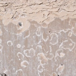 Морозостойкость бетона: маркировка, определение и как увеличить?
